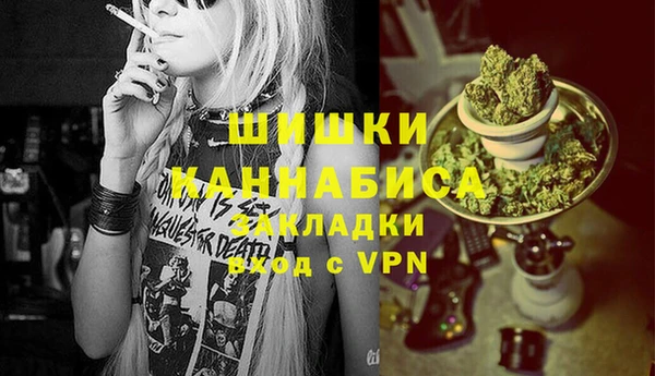 гидра Михайловка