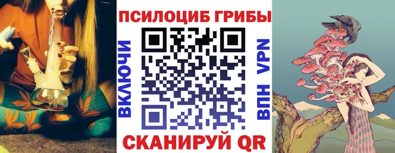 Псилоцибиновые грибы Cubensis  Ростов-на-Дону 